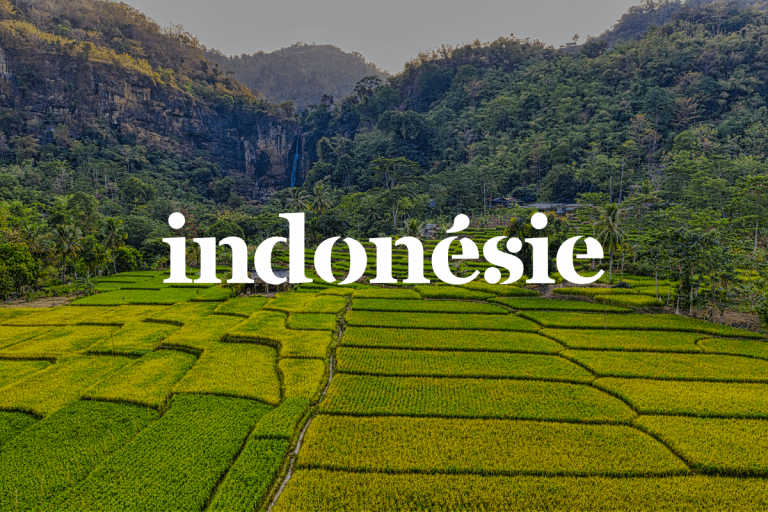 Indonésie