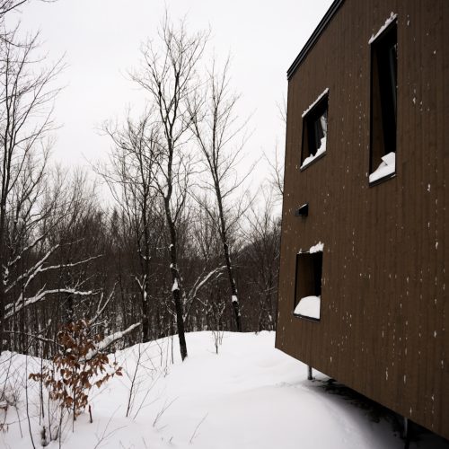 Chalet en bois contemporain au cœur d’une forêt enneigée, photographié en hiver au Vert Tendre