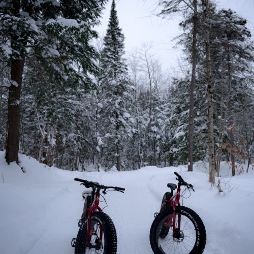 Deux fatbikes stationnés sur un sentier enneigé au cœur de la forêt en hiver au Vert Tendre