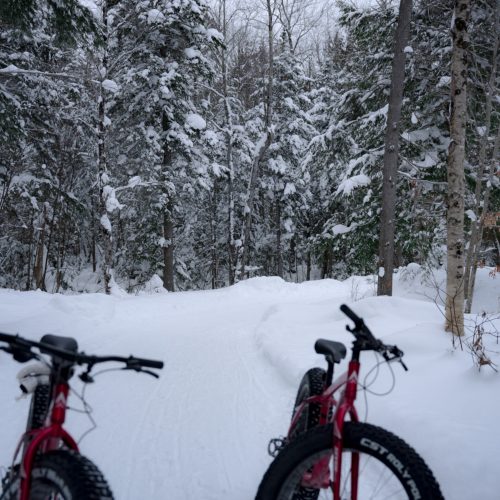 Deux fatbikes stationnés sur un sentier enneigé en forêt au Vert Tendre, au Québec