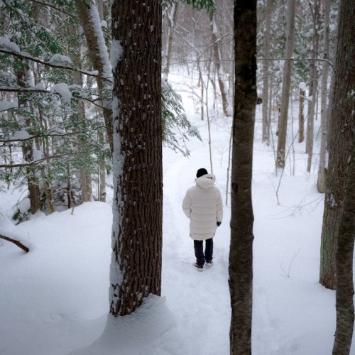 Personne marchant sur un sentier enneigé en forêt au Vert Tendre, au Québec