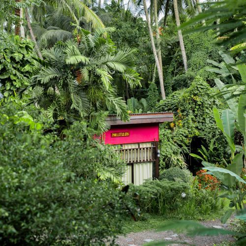 Bâtiment du spa Pink Lotus entouré de végétation tropicale et de palmiers, au Parasol Blanc à Luang Prabang.
